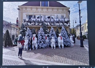 Коледна Крайова